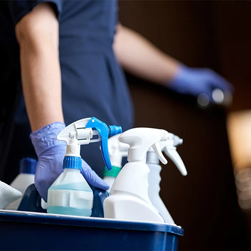 Service de ménage et d’entretien de propriétés de prestige Employée de maison équipée de produits d’entretien, représentant le service de nettoyage professionnel inclus dans les prestations de conciergerie